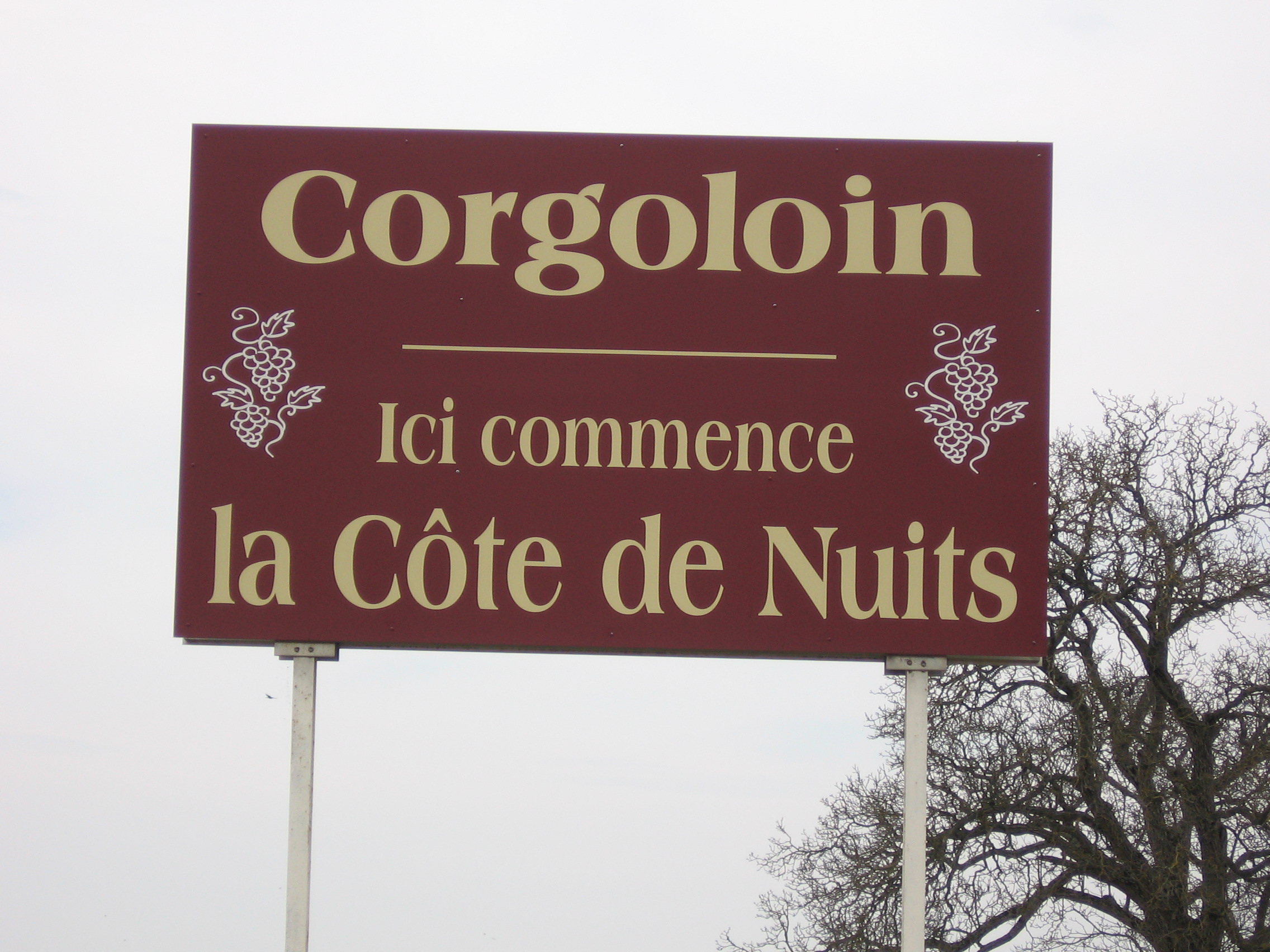 corgo-cotes-de-nuits2